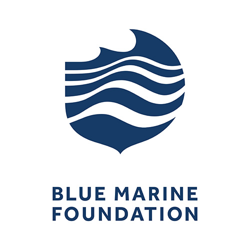 blue-marine-foundation.jpg