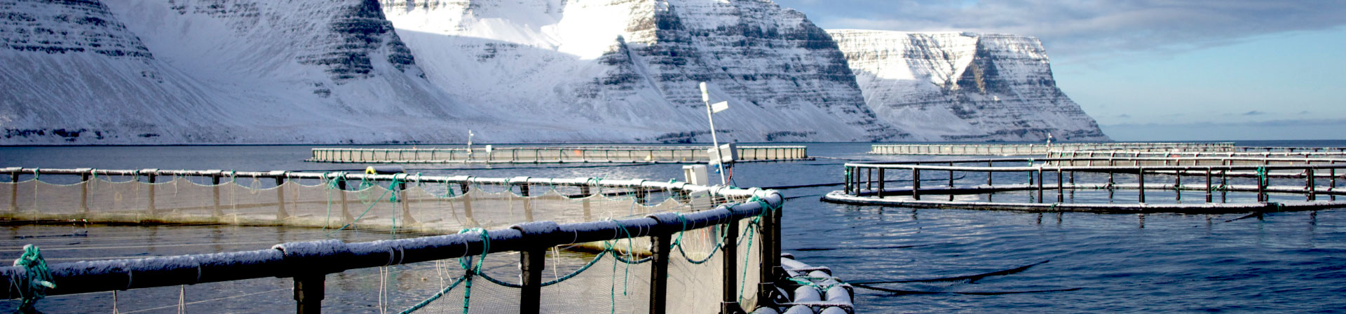 Ekki í Bodi (Off The Table)